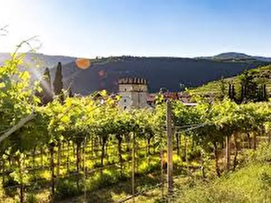 Immagine 3 di Terreno in vendita  in Via Roma a Sant'ambrogio Di Valpolicella