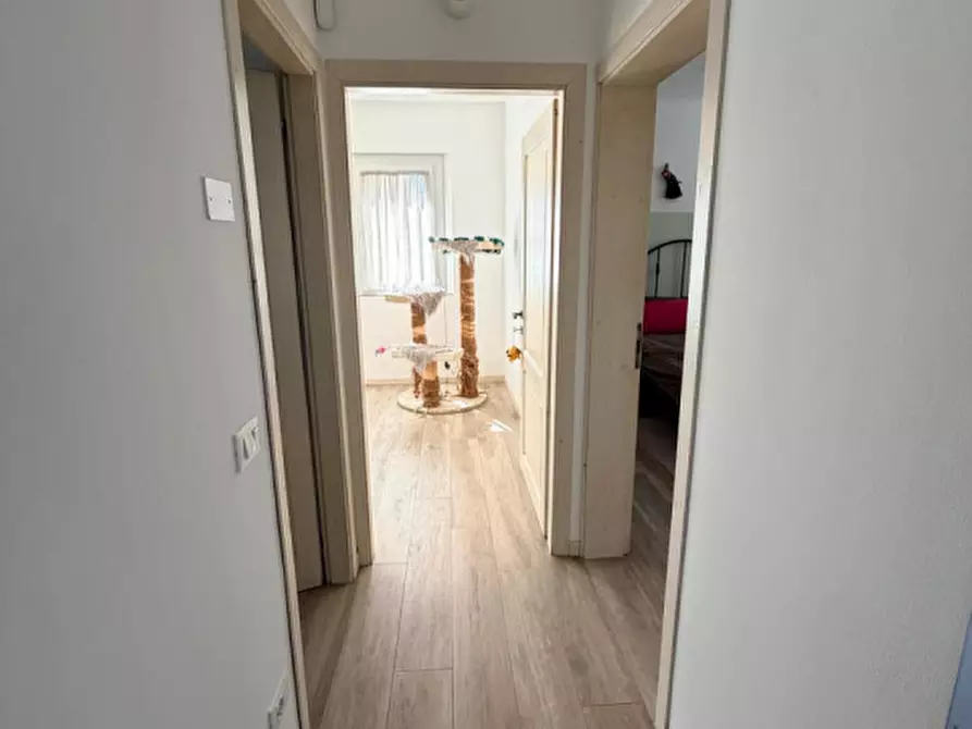 Immagine 18 di Casa indipendente in vendita  a Giavera Del Montello