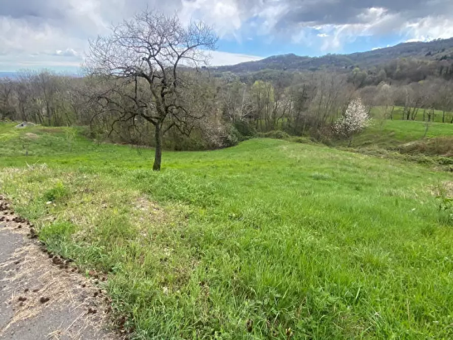 Immagine 2 di Terreno in vendita  a Schio