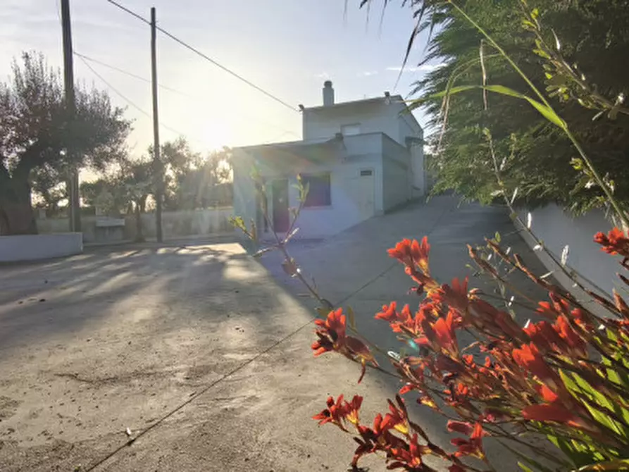 Immagine 5 di Villa in vendita  in SS 172 a Putignano