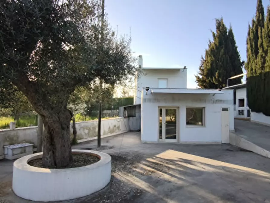 Immagine 28 di Villa in vendita  in SS 172 a Putignano