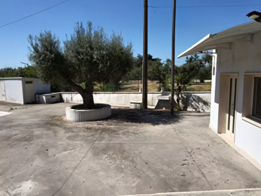 Immagine 30 di Villa in vendita  in SS 172 a Putignano