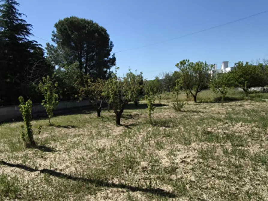 Immagine 38 di Villa in vendita  in SS 172 a Putignano