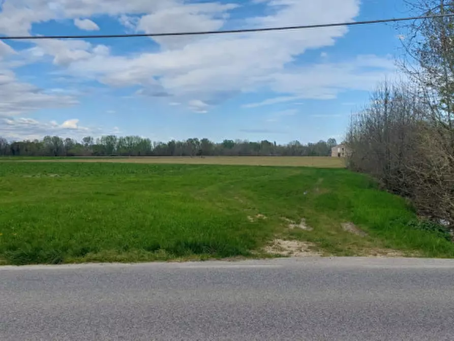 Immagine 2 di Terreno in vendita  in Via Presina SP94 al Km 21 IV a Piazzola Sul Brenta