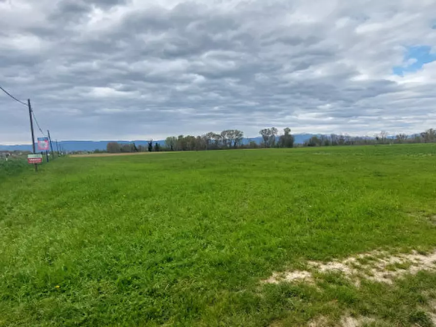 Immagine 3 di Terreno in vendita  in Via Presina SP94 al Km 21 IV a Piazzola Sul Brenta