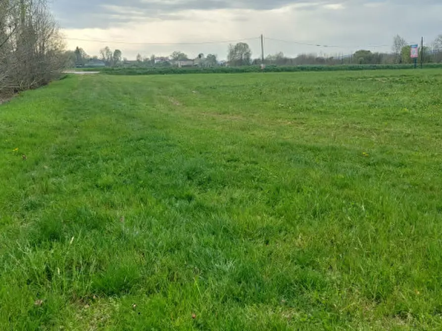 Immagine 4 di Terreno in vendita  in Via Presina SP94 al Km 21 IV a Piazzola Sul Brenta