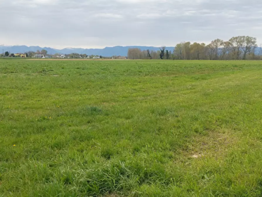 Immagine 5 di Terreno in vendita  in Via Presina SP94 al Km 21 IV a Piazzola Sul Brenta