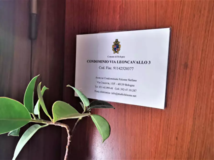 Immagine 15 di Appartamento in affitto  in Murri Alta Vicinanze Giardini Margherita a Bologna