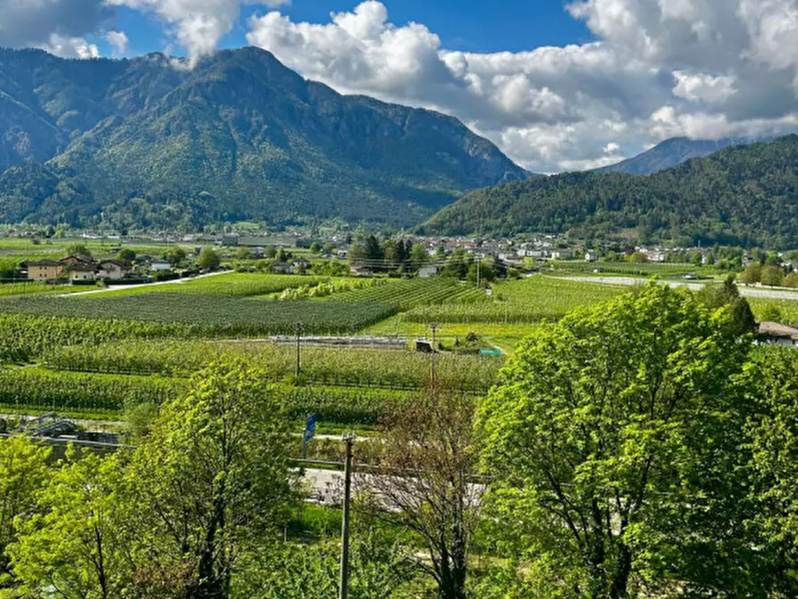 Immagine 19 di Appartamento in vendita  in Località Brenta 39 a Caldonazzo