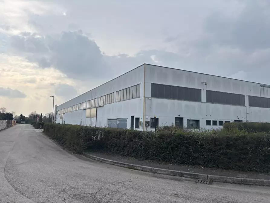 Immagine 1 di Capannone industriale in vendita  in Via Brigata Marche a Istrana