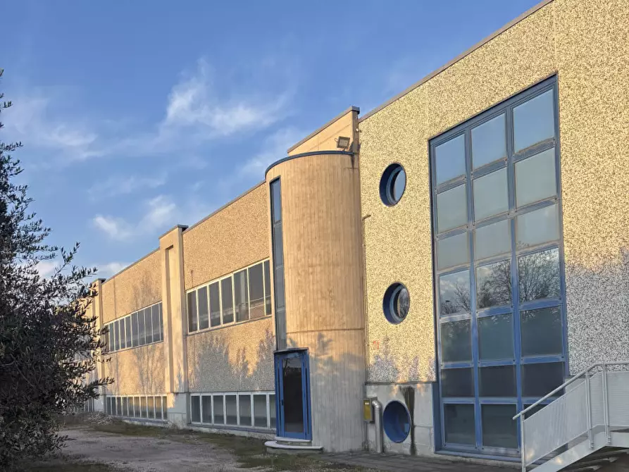 Immagine 1 di Capannone industriale in vendita  in via ermenegildo minato a Riese Pio x