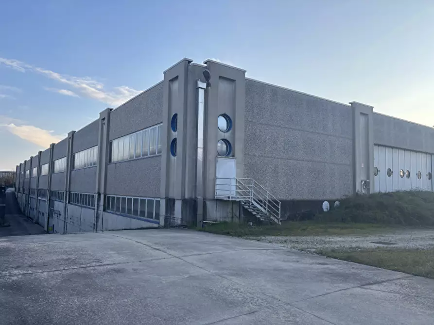 Immagine 6 di Capannone industriale in vendita  in via ermenegildo minato a Riese Pio x