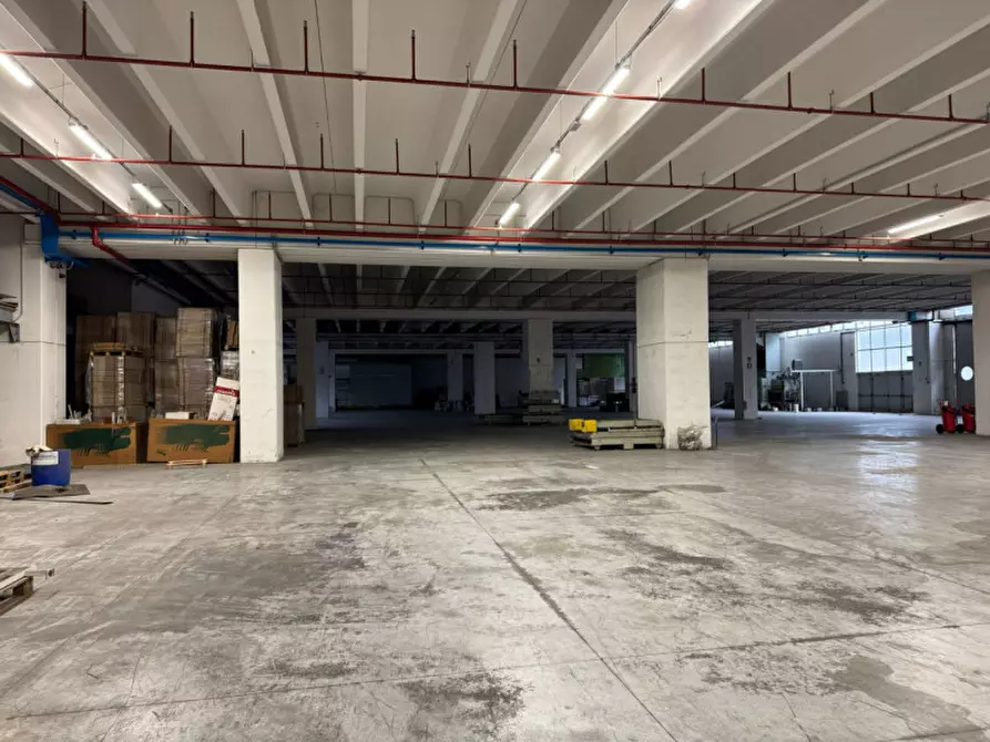 Immagine 7 di Capannone industriale in vendita  in via ermenegildo minato a Riese Pio x