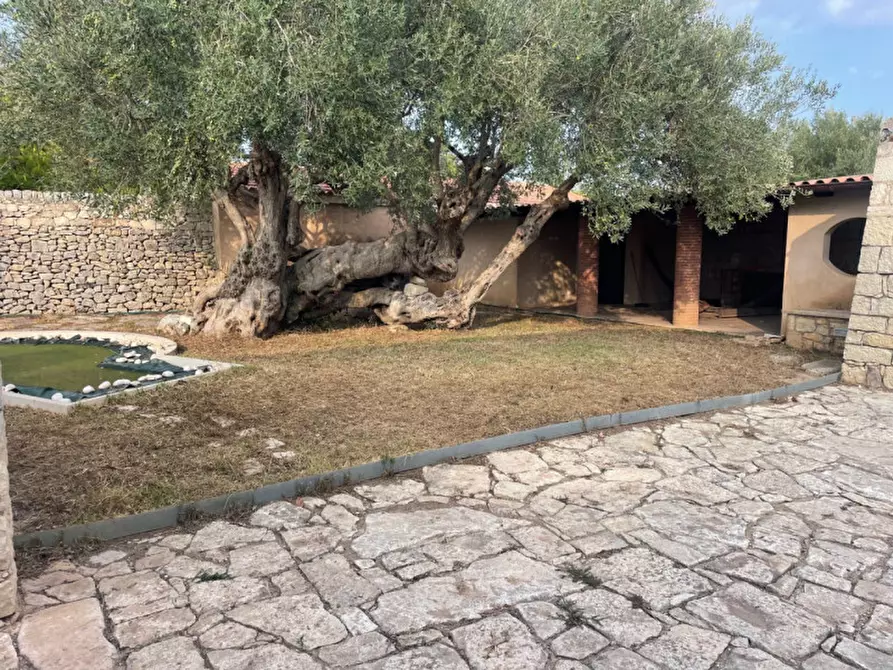 Immagine 3 di Rustico / casale in vendita  in SP32 a Modica