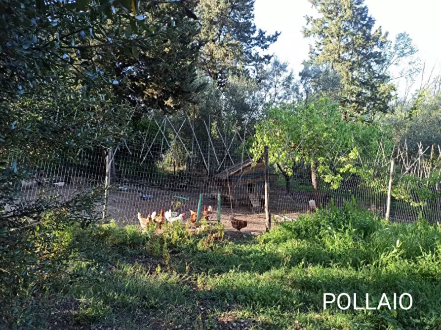 Immagine 15 di Appartamento in vendita  in Via Lungagnana, 10 a Montespertoli