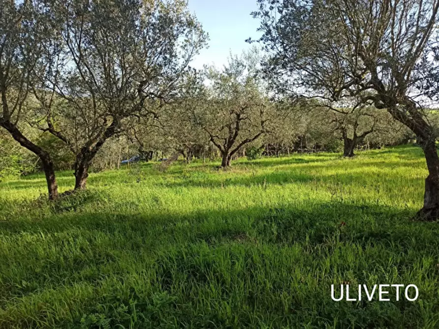 Immagine 29 di Appartamento in vendita  in Via Lungagnana, 10 a Montespertoli