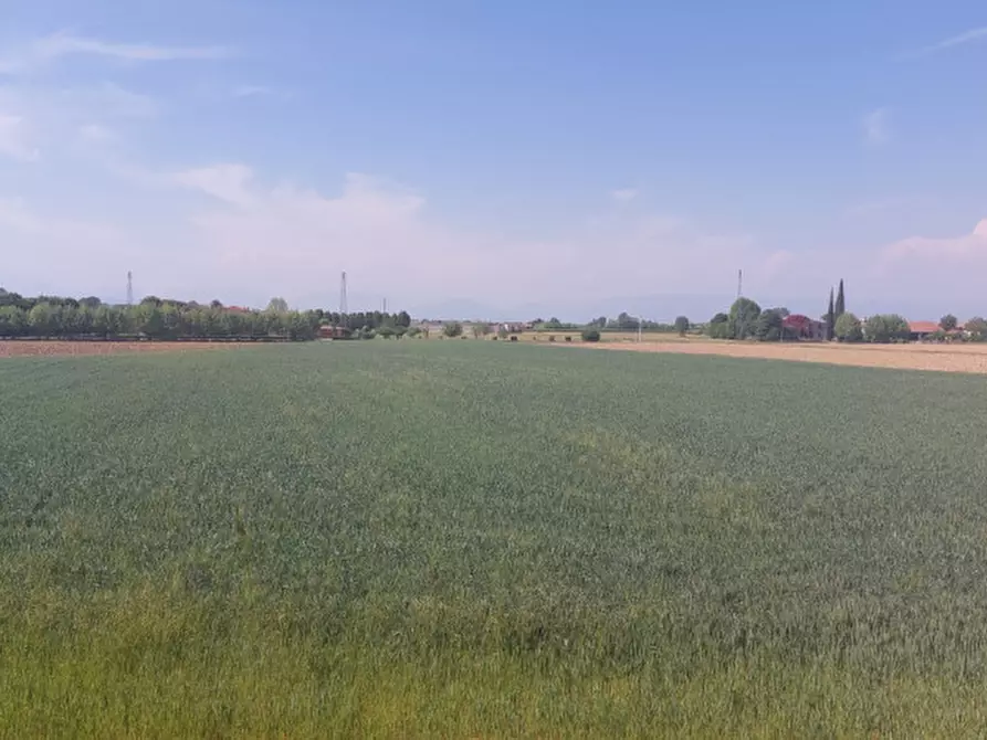 Immagine 22 di Appartamento in vendita  in Via Ceroni a Montegalda