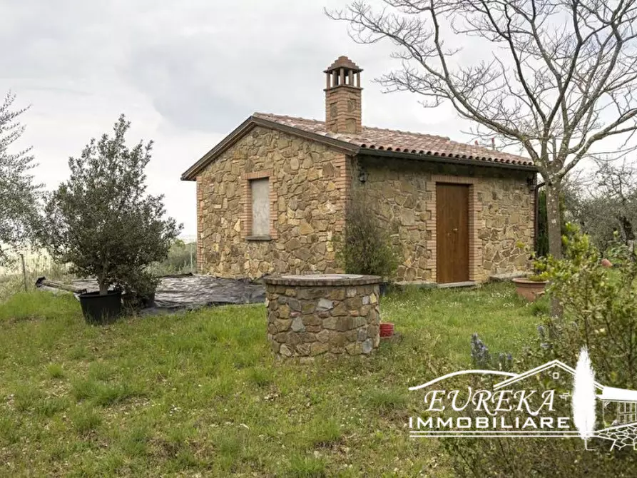 Immagine 1 di Rustico / casale in vendita  in Strada Provinciale di Sinalunga a Sinalunga