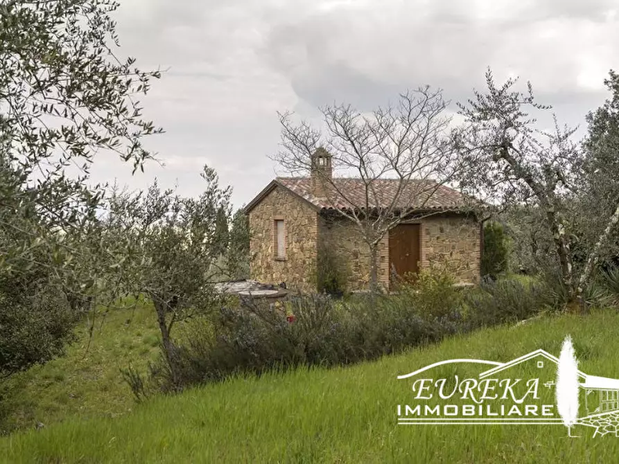 Immagine 2 di Rustico / casale in vendita  in Strada Provinciale di Sinalunga a Sinalunga