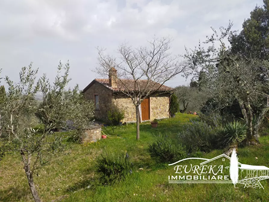 Immagine 4 di Rustico / casale in vendita  in Strada Provinciale di Sinalunga a Sinalunga
