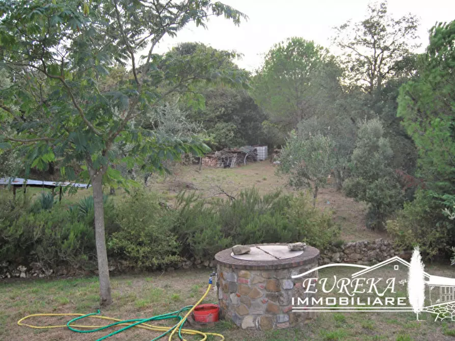 Immagine 9 di Rustico / casale in vendita  in Strada Provinciale di Sinalunga a Sinalunga