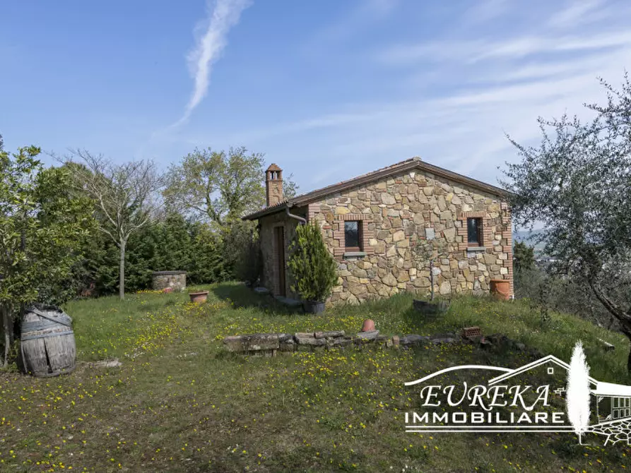 Immagine 10 di Rustico / casale in vendita  in Strada Provinciale di Sinalunga a Sinalunga