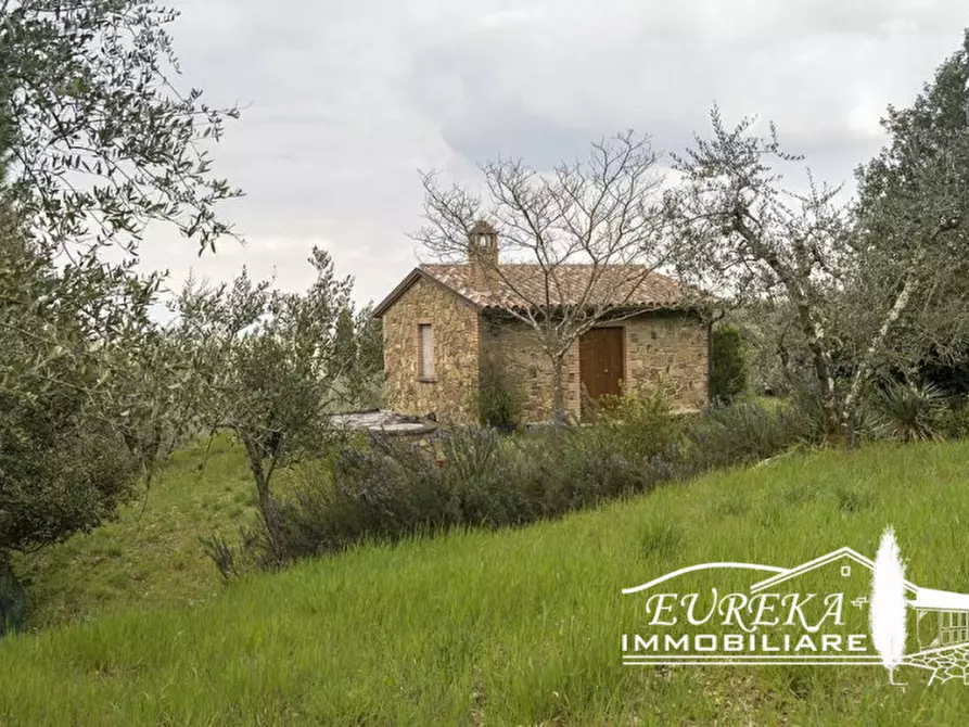 Immagine 11 di Rustico / casale in vendita  in Strada Provinciale di Sinalunga a Sinalunga