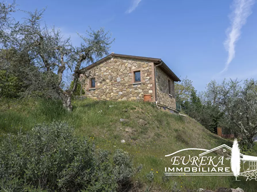 Immagine 12 di Rustico / casale in vendita  in Strada Provinciale di Sinalunga a Sinalunga