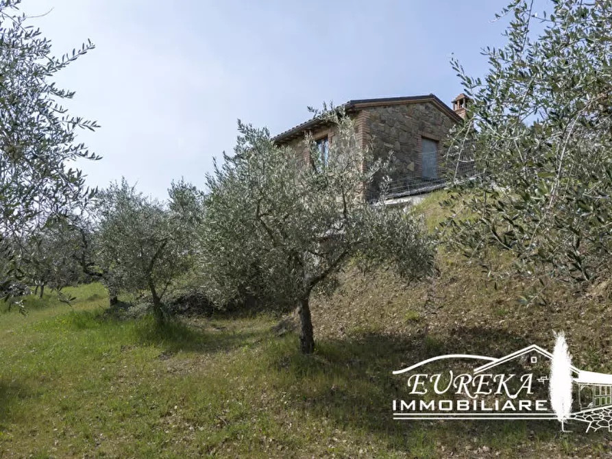 Immagine 13 di Rustico / casale in vendita  in Strada Provinciale di Sinalunga a Sinalunga