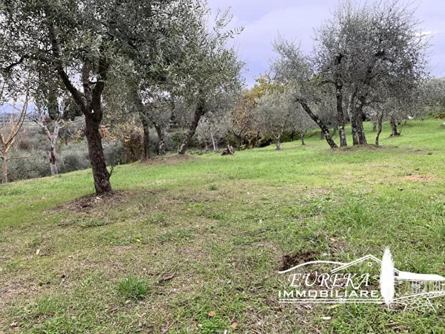Immagine 15 di Rustico / casale in vendita  in Strada Provinciale di Sinalunga a Sinalunga