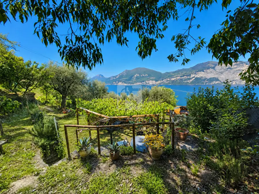 Immagine 1 di Terreno in vendita  in Via Ugo Foscolo a Brenzone