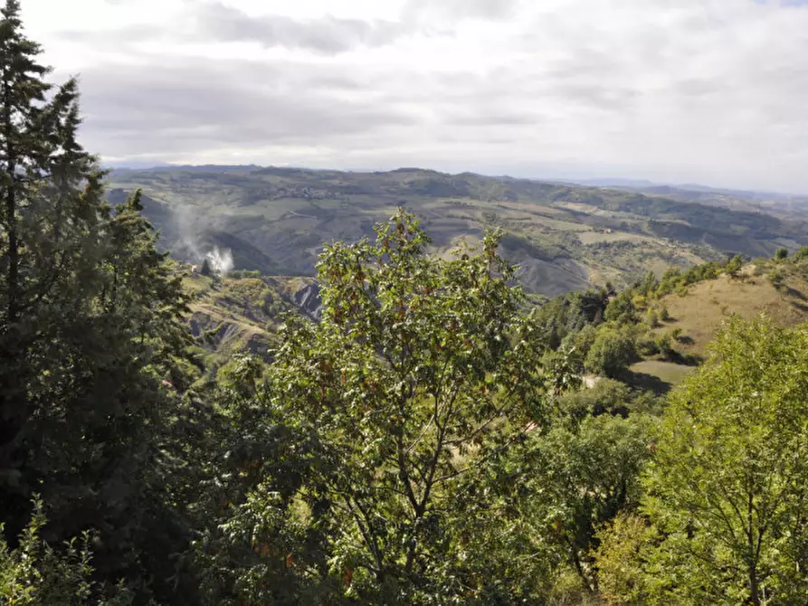 Immagine 6 di Appartamento in affitto  in via medelana  57 a Marzabotto