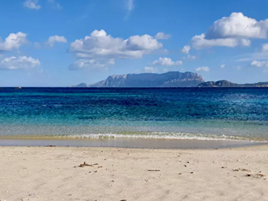 Immagine 8 di Appartamento in vendita  a Olbia