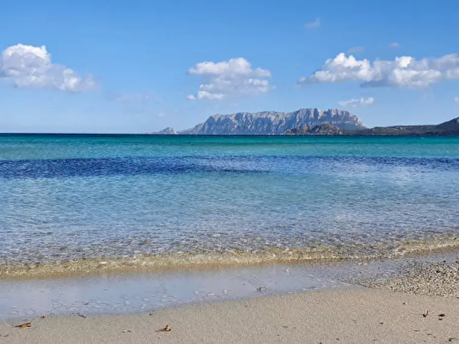 Immagine 9 di Appartamento in vendita  a Olbia