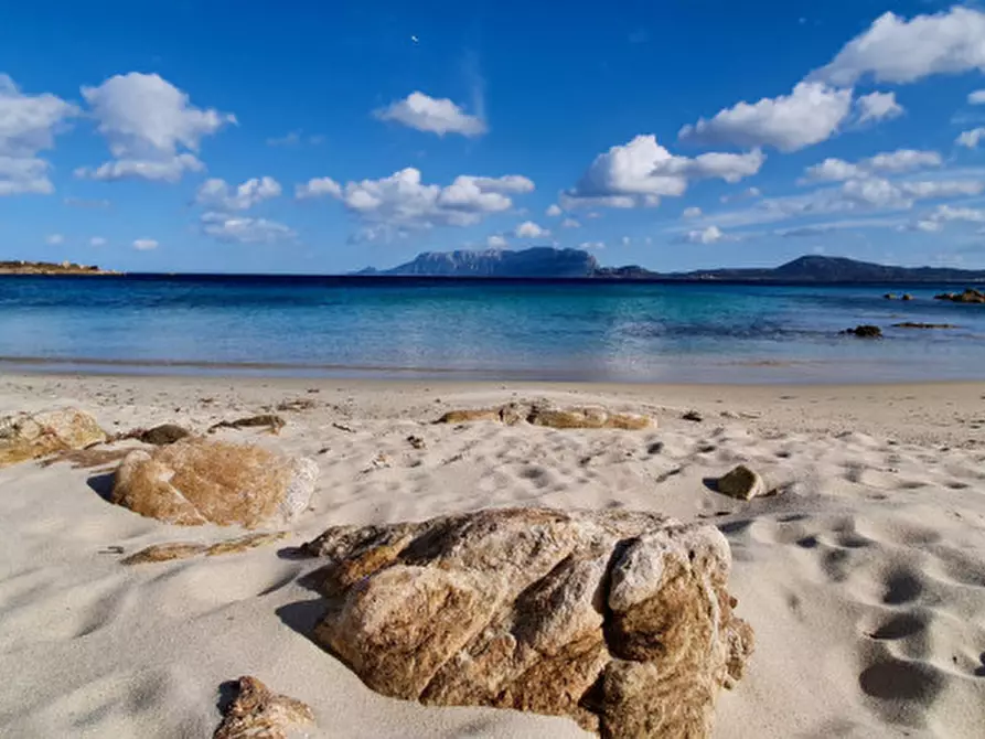 Immagine 10 di Appartamento in vendita  a Olbia