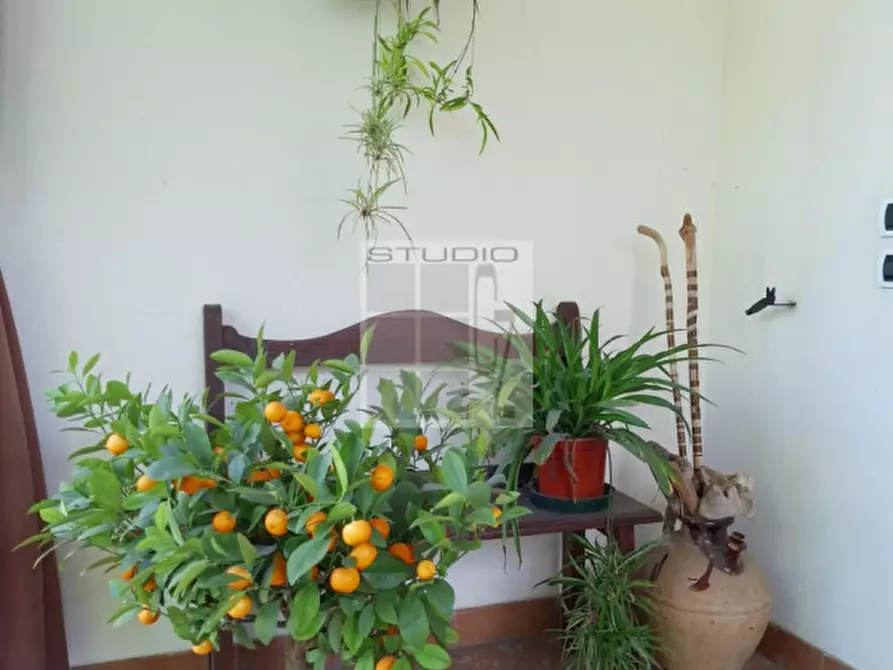 Immagine 13 di Casa indipendente in vendita  in Via Padre Massimiliano Maria Kolbe a Camposampiero
