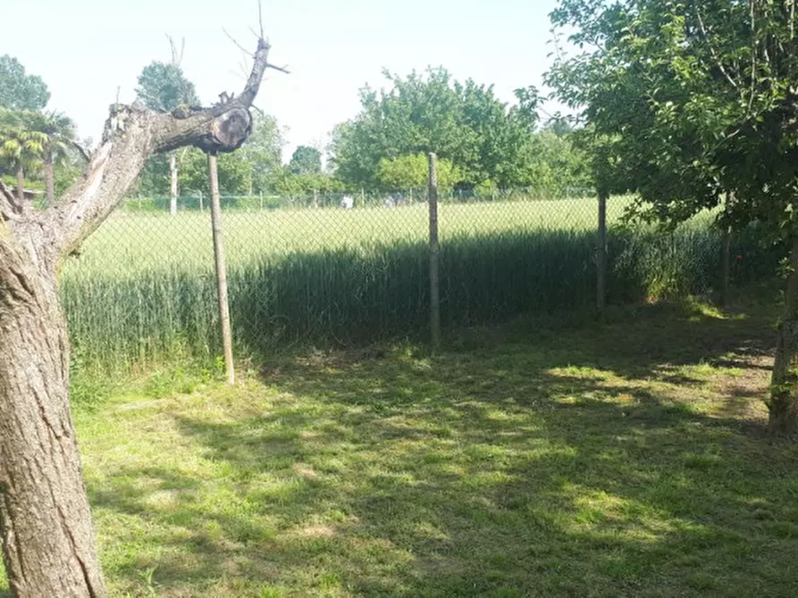 Immagine 4 di Terreno in vendita  in Via Toscanigo a Salzano