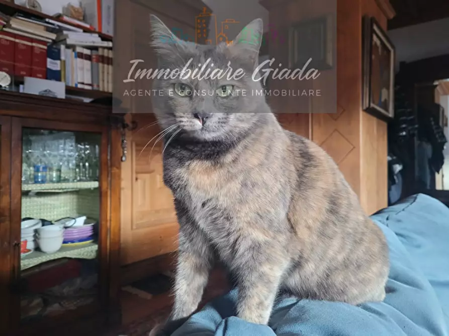 Immagine 30 di Appartamento in vendita  a Pieve Di Cadore