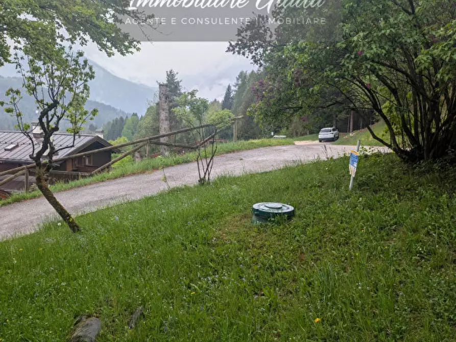 Immagine 31 di Appartamento in vendita  a Pieve Di Cadore