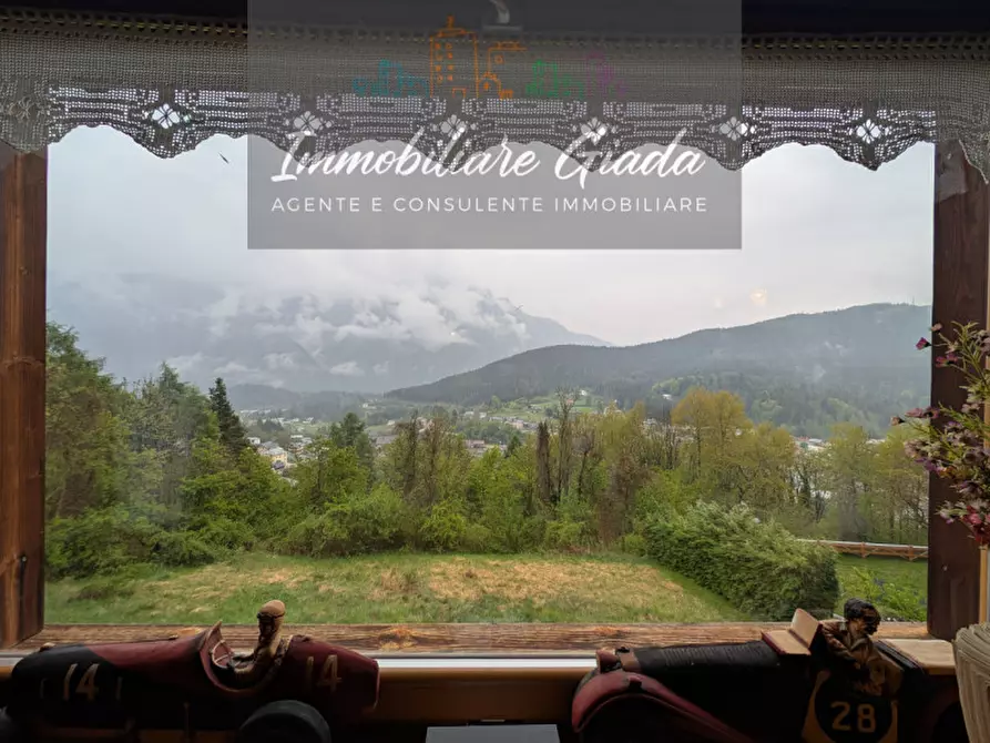 Immagine 43 di Appartamento in vendita  a Pieve Di Cadore