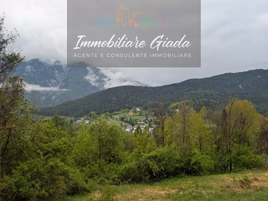 Immagine 47 di Appartamento in vendita  a Pieve Di Cadore
