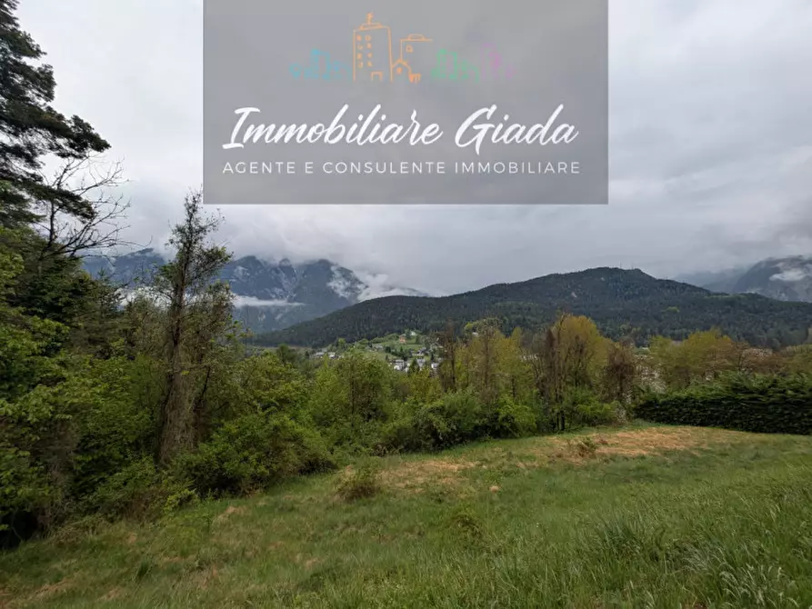 Immagine 49 di Appartamento in vendita  a Pieve Di Cadore