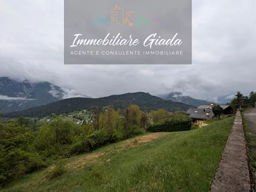 Immagine 50 di Appartamento in vendita  a Pieve Di Cadore