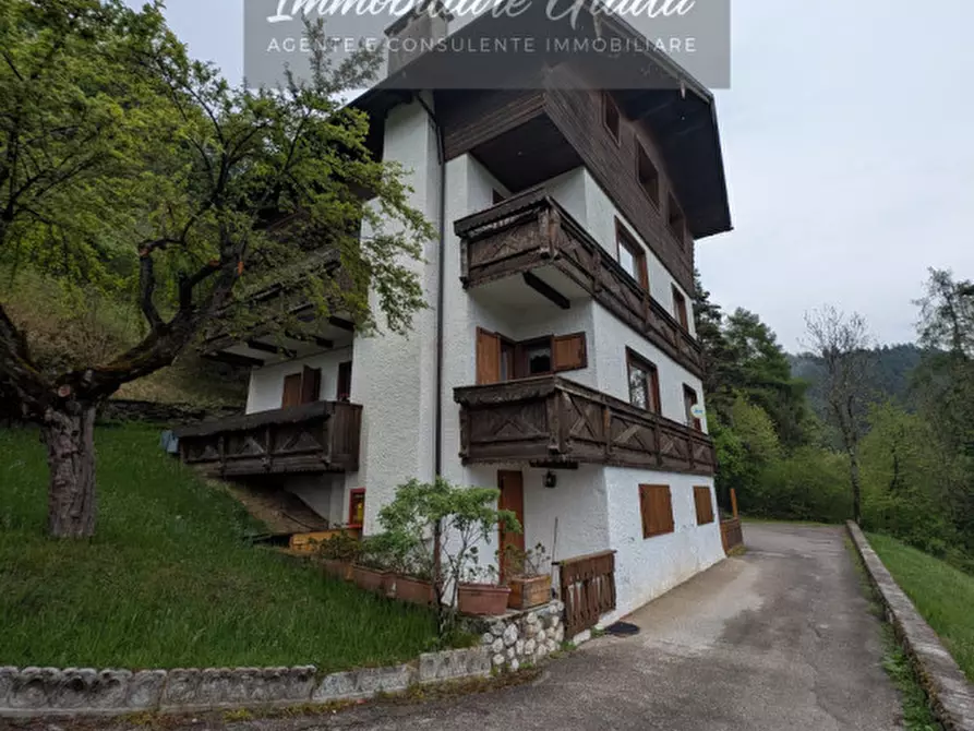 Immagine 51 di Appartamento in vendita  a Pieve Di Cadore