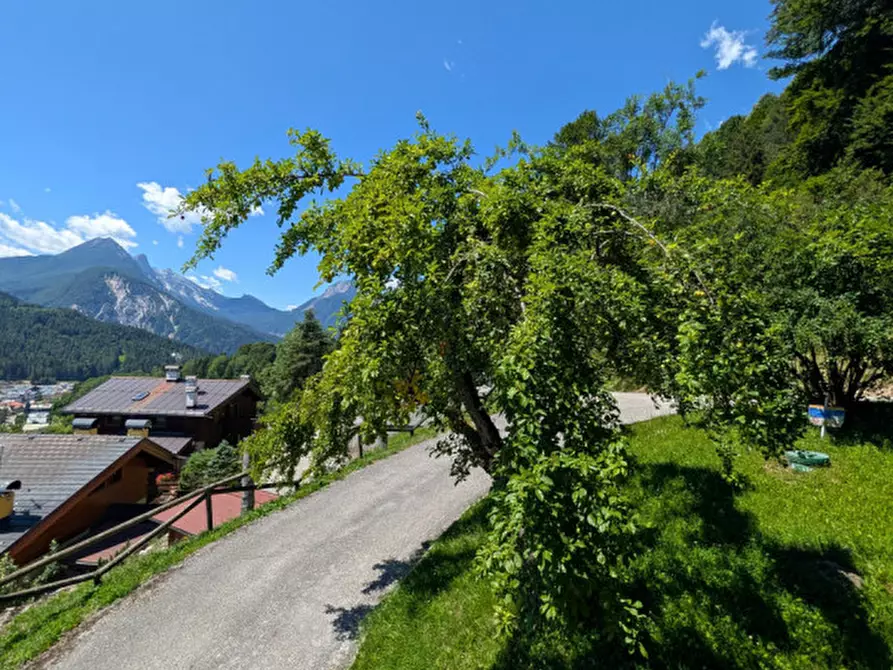 Immagine 60 di Appartamento in vendita  a Pieve Di Cadore