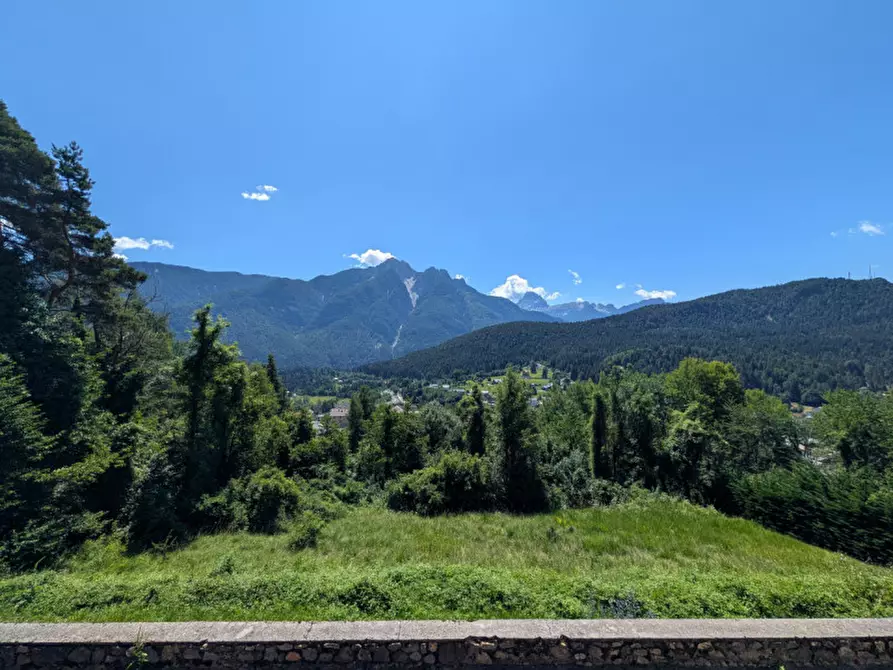 Immagine 65 di Appartamento in vendita  a Pieve Di Cadore