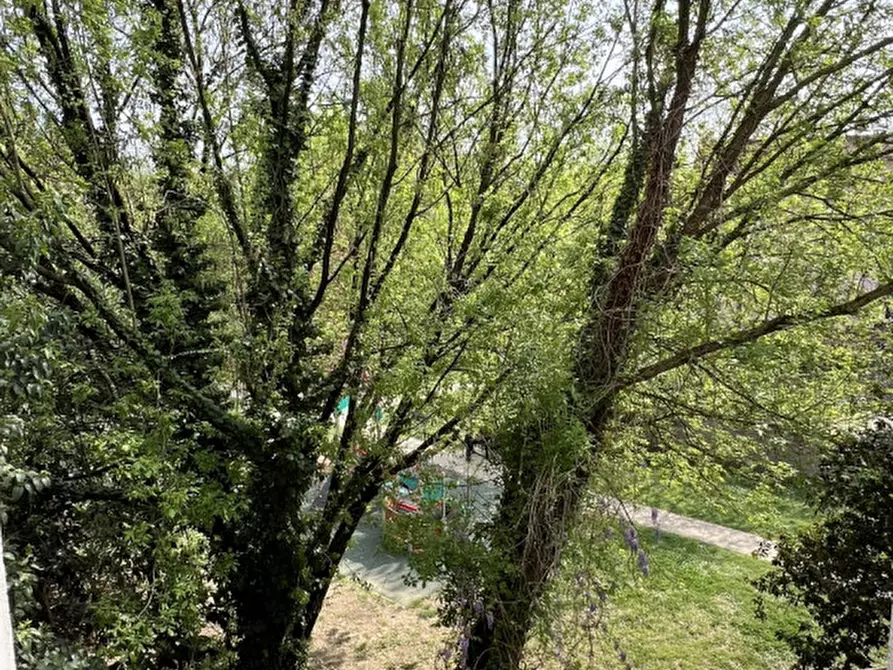 Immagine 16 di Appartamento in vendita  in Via Legione Antonini a Vicenza