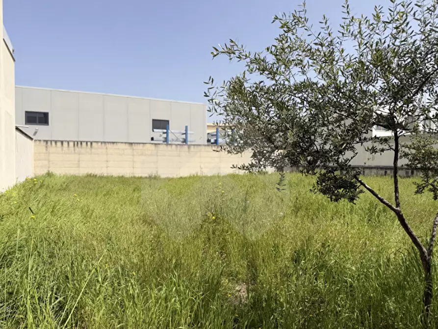Immagine 9 di Capannone industriale in affitto  in Via Plauto a Andria