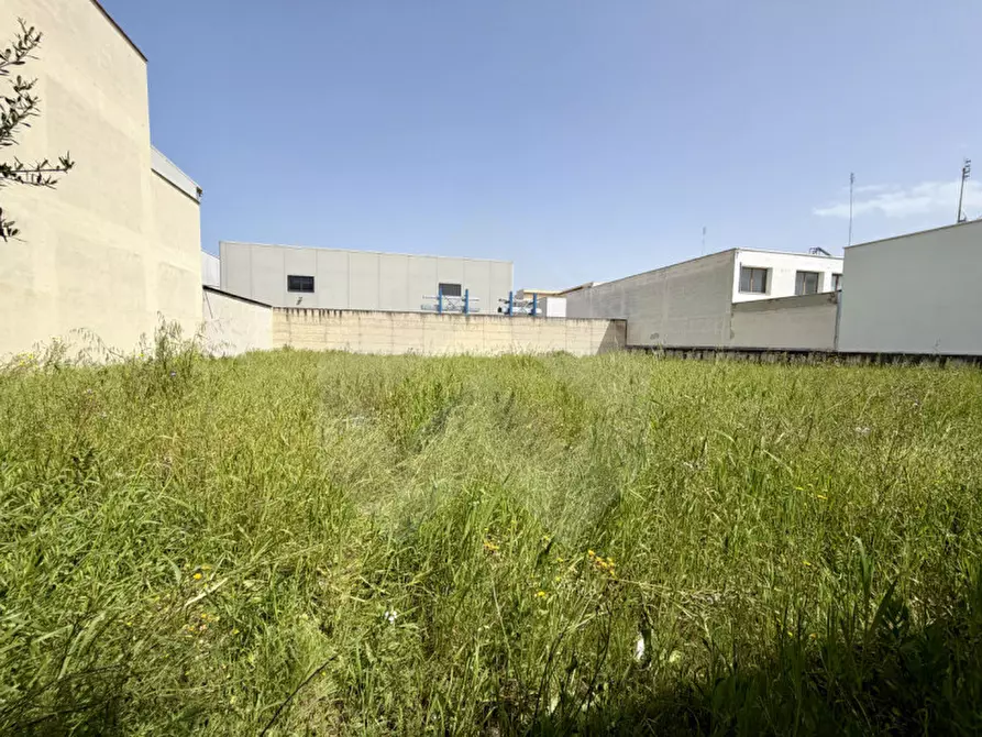 Immagine 11 di Capannone industriale in affitto  in Via Plauto a Andria