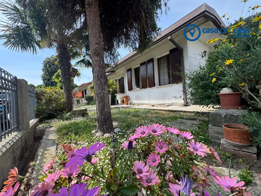 Immagine 1 di Casa bifamiliare in vendita  in Via San Gaetano a Anguillara Veneta